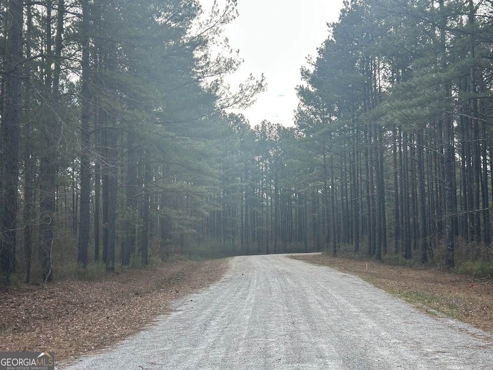 237 Riversong - Photo 1