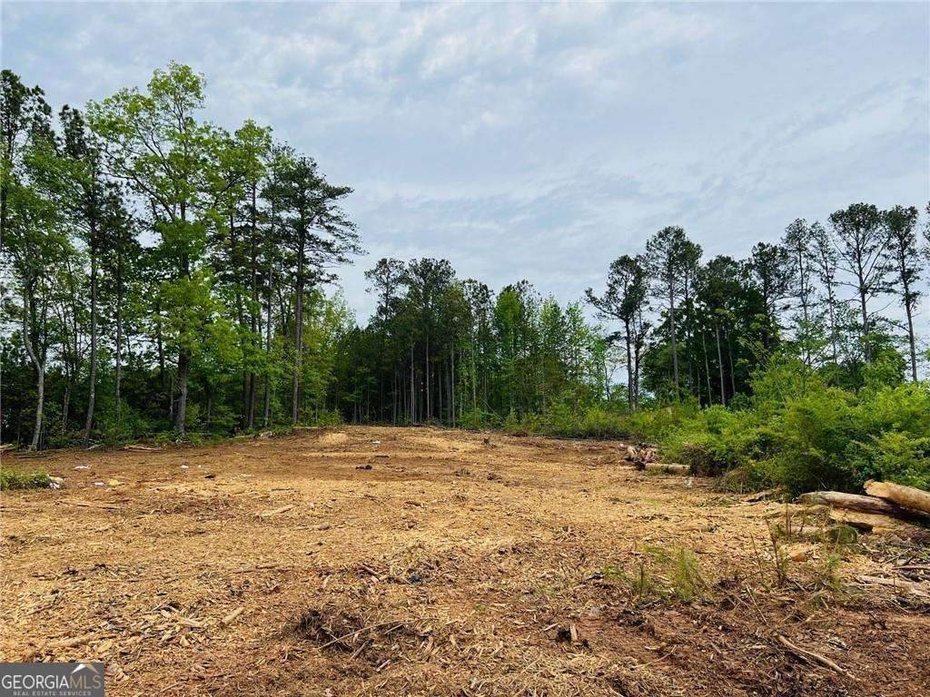 2520 Baker Road - Photo 1