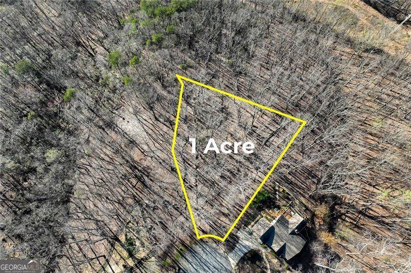 LOT 29 Long Mountain Trail - Photo 1