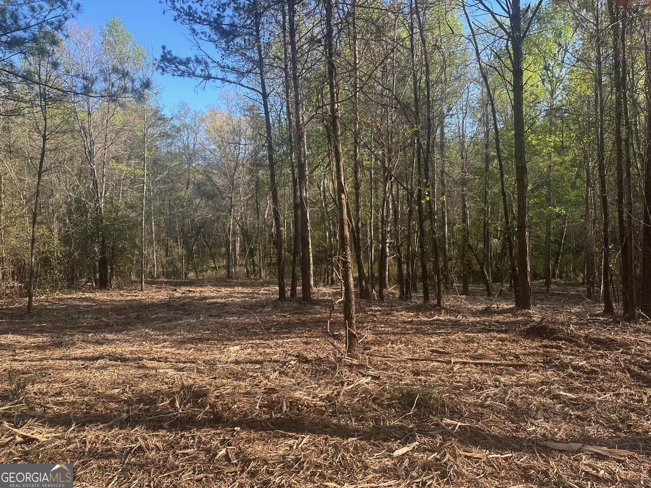 0 Lee Mashburn Road - Photo 1
