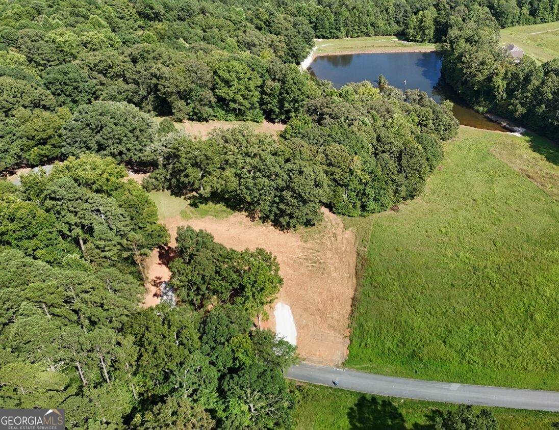 LOT 2 Snote Jones Road - Photo 1
