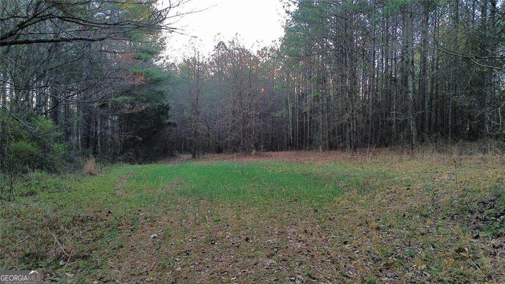 8165 Highway 81 - Photo 1