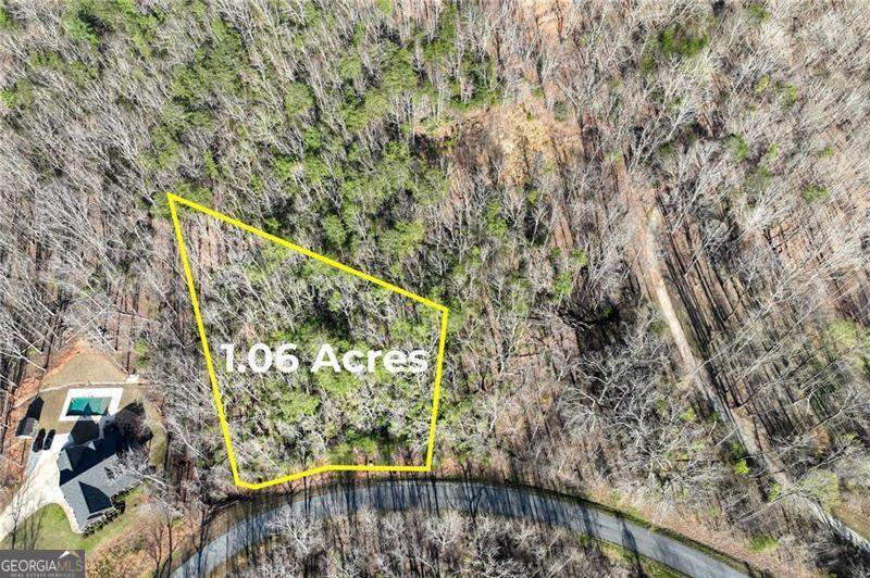 LOT 49 Long Mountain Trail - Photo 1