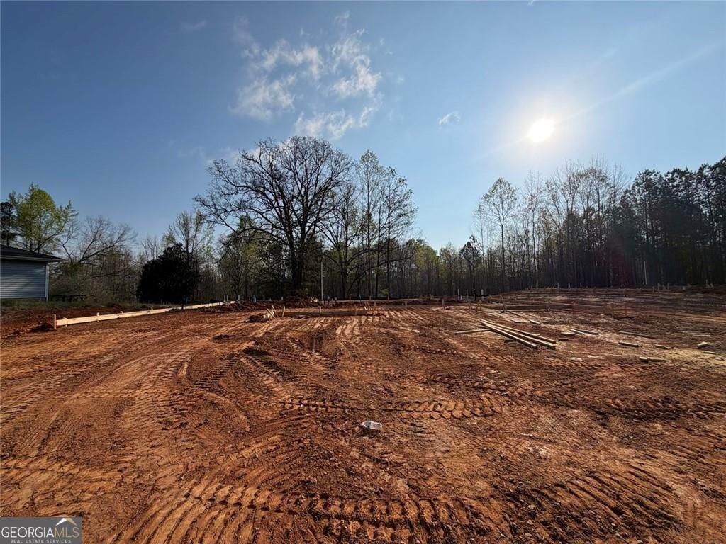 663 Clyde Cole Road - Photo 1