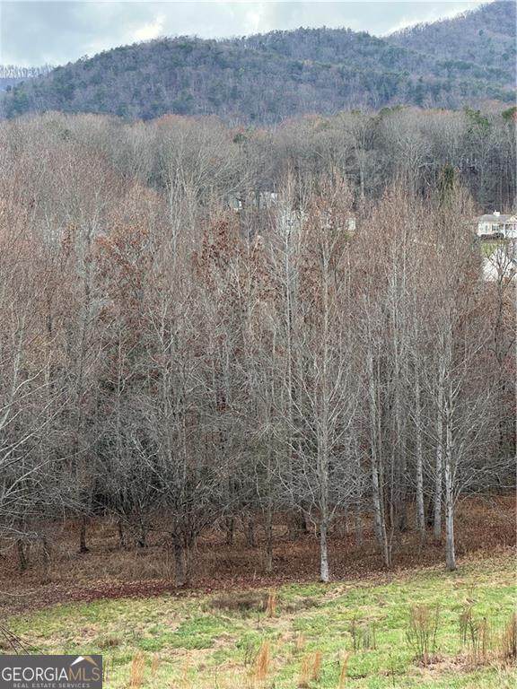 0 Hwy 75 Alt Ga - Photo 1