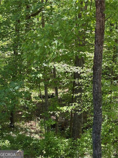 0 Clark Drive - Photo 1