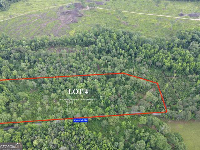LOT 4 Kendrick - Photo 1