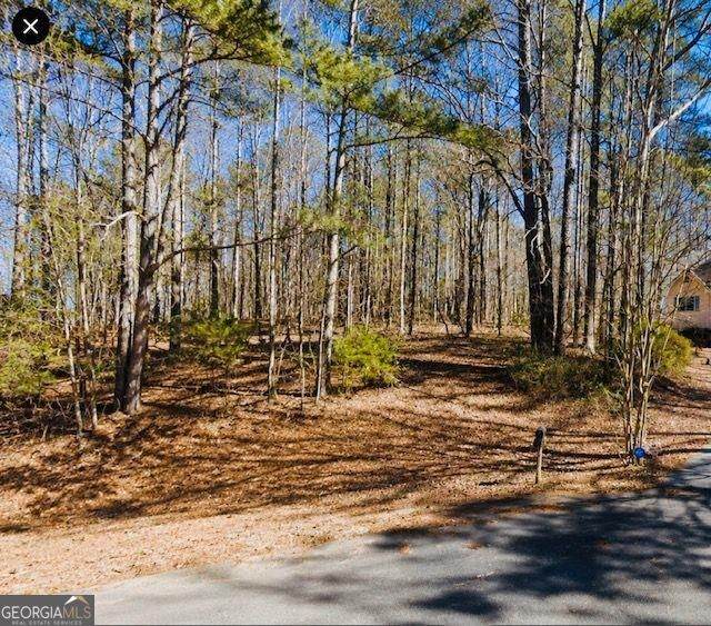 110 Bunnie Trail - Photo 1