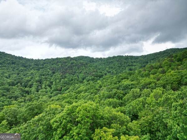 LOT 36 Winding View - Photo 1