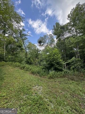 0 Crest Lane - Photo 1