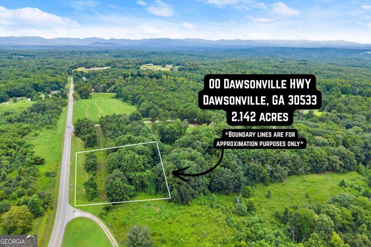 0 Tract 2A Dawsonville Highway - Photo 1