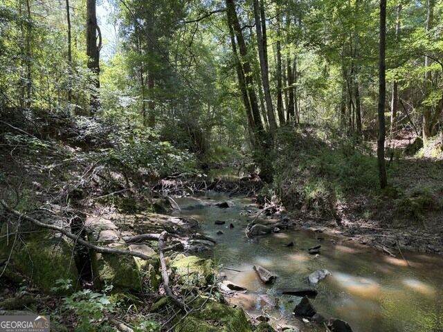 0 Kendricks Mill Road - Photo 1