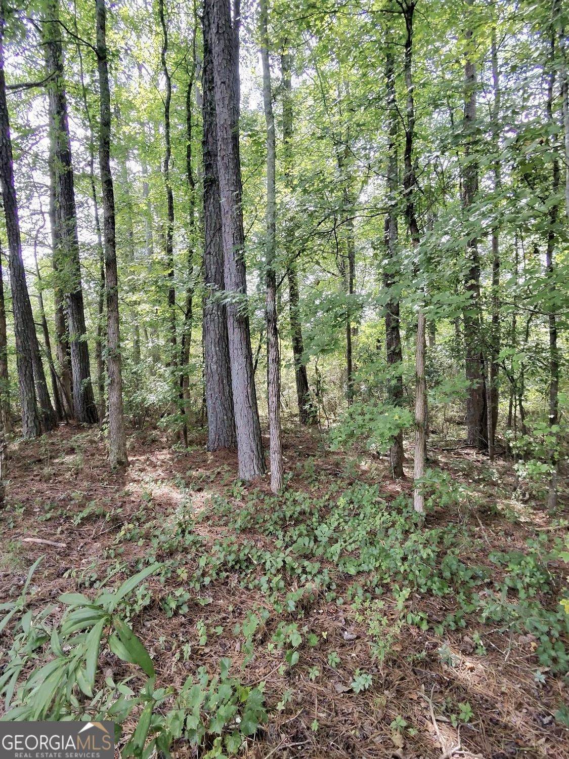 0 Post Road - Photo 1