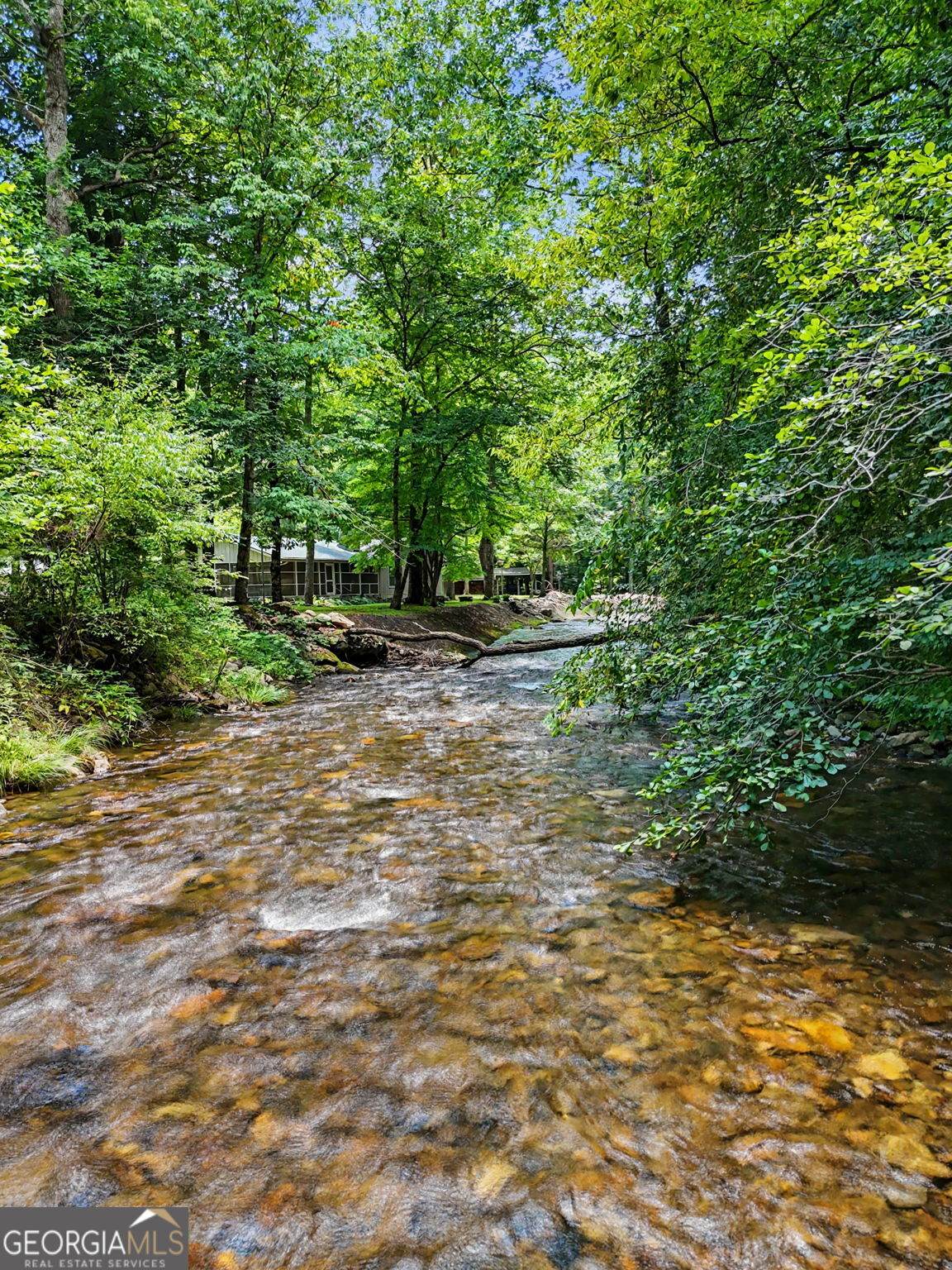 1169 Tate City Road - Photo 1