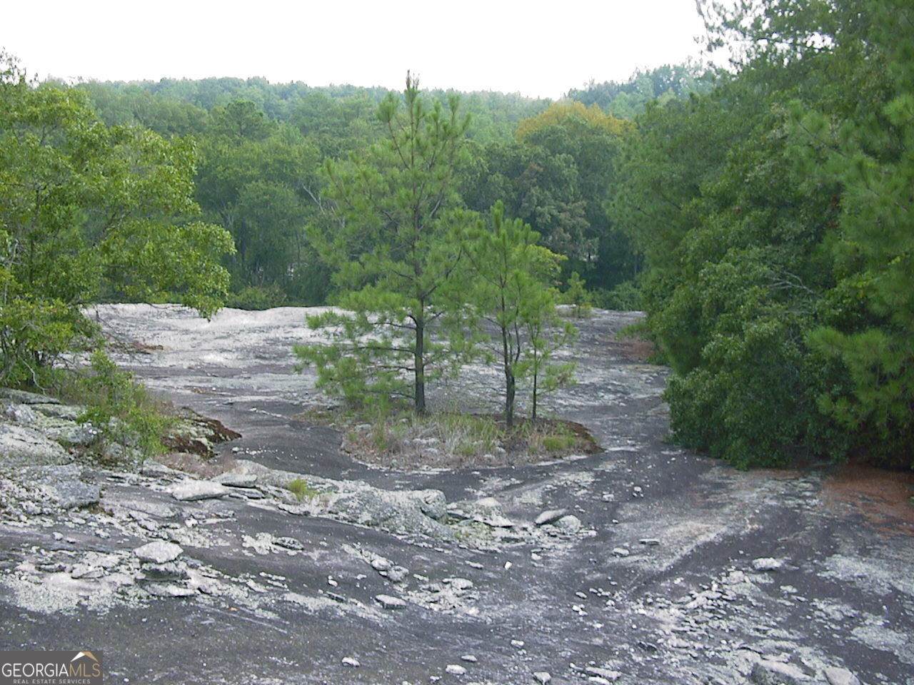 0 Rabbit Farm Road - Photo 1