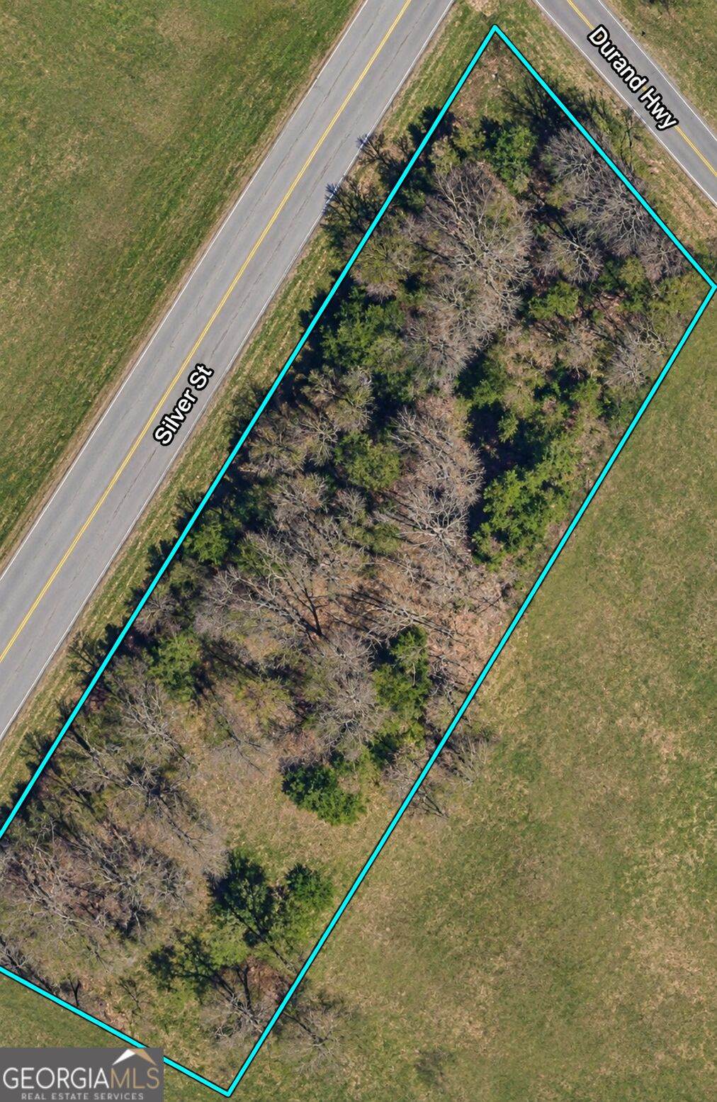 0 Durand Highway - Photo 1