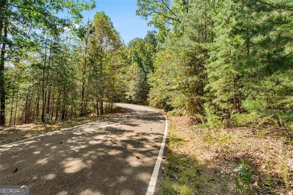 288 Blazingstar Trail - Photo 1