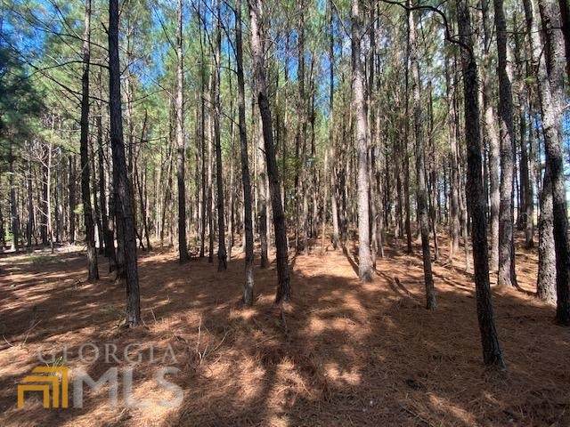 0 Blackjack Rd. - Photo 1