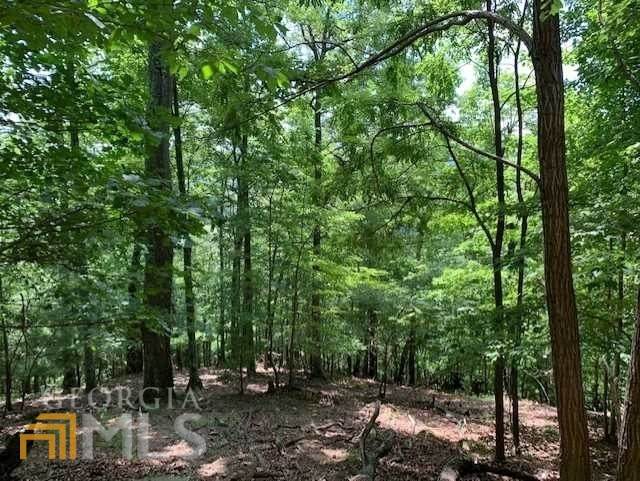 0 Bear Track Trail - Photo 1