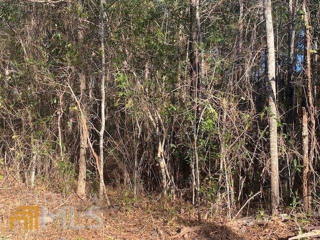 159 Dixon Road - Photo 1