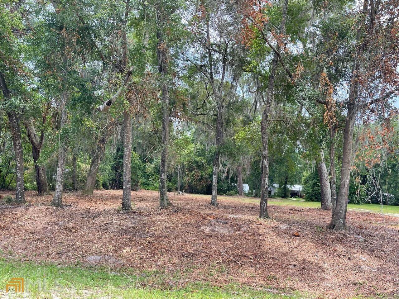 LOT 57 Hwy 259 - Photo 1