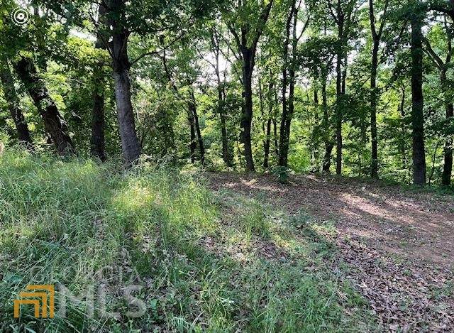 2325 Ford White Road - Photo 1