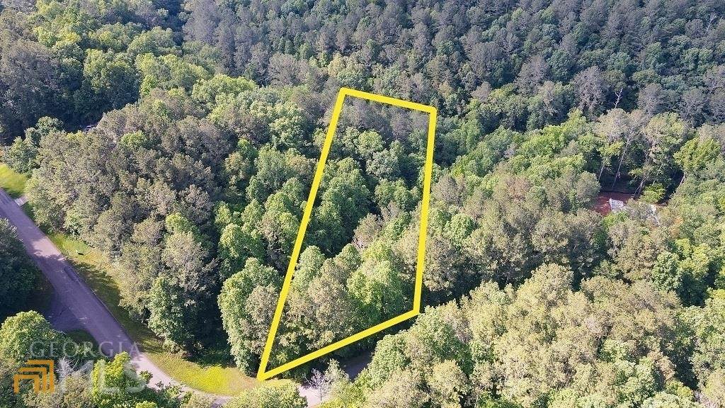 0 Mountain Creek Hollow Drive - Photo 1