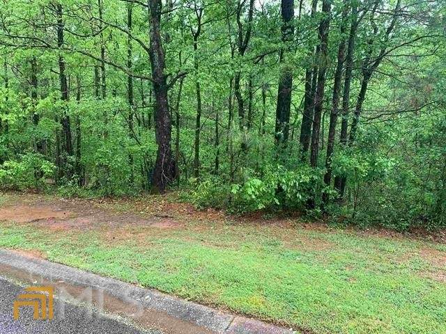0 Hollow Oak Court - Photo 1