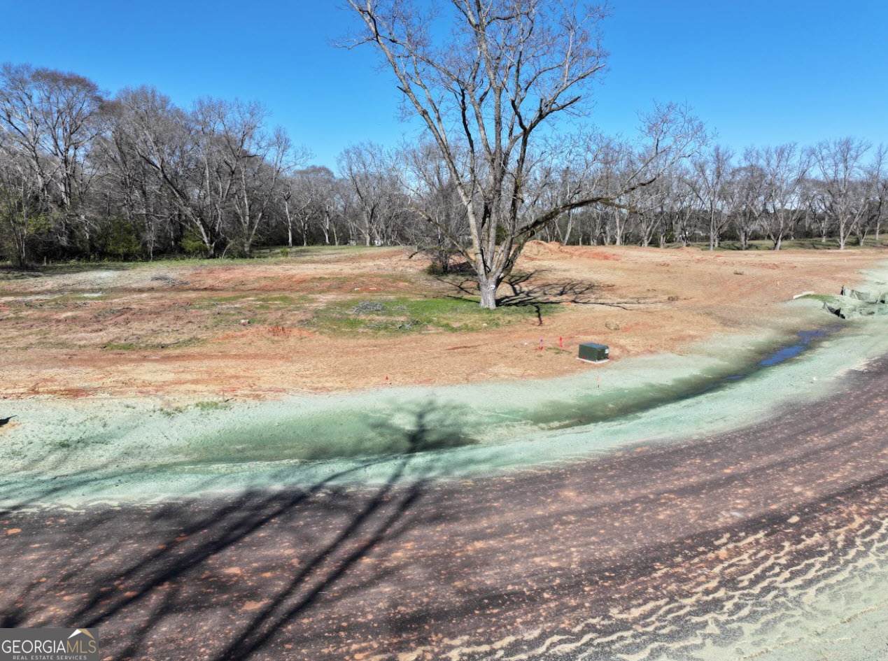 LOT 2 Chinaberry Street - Photo 1