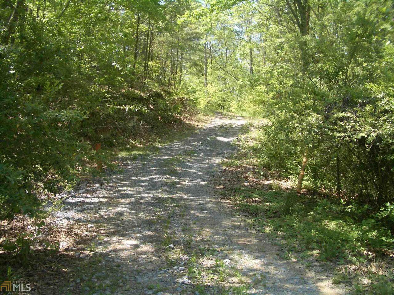 0 Liberty Church Road - Photo 1