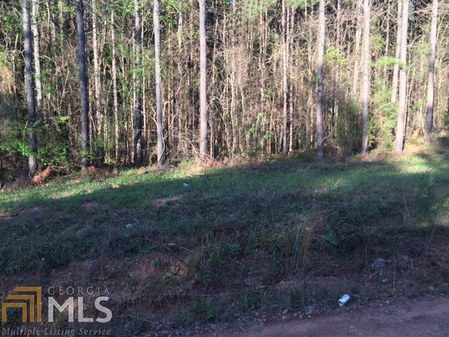 0 Mt Pilgrim Rd - Photo 1