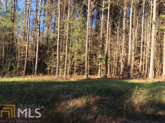0 Jones Rd - Photo 1