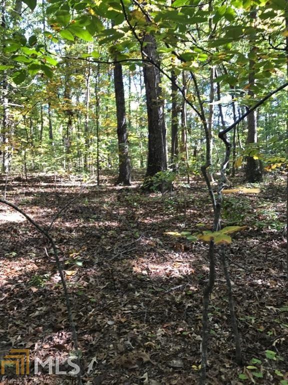 1584 Gaddis Rd - Photo 1