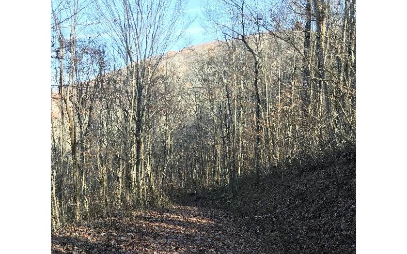 0 Black Gap Rd - Photo 1