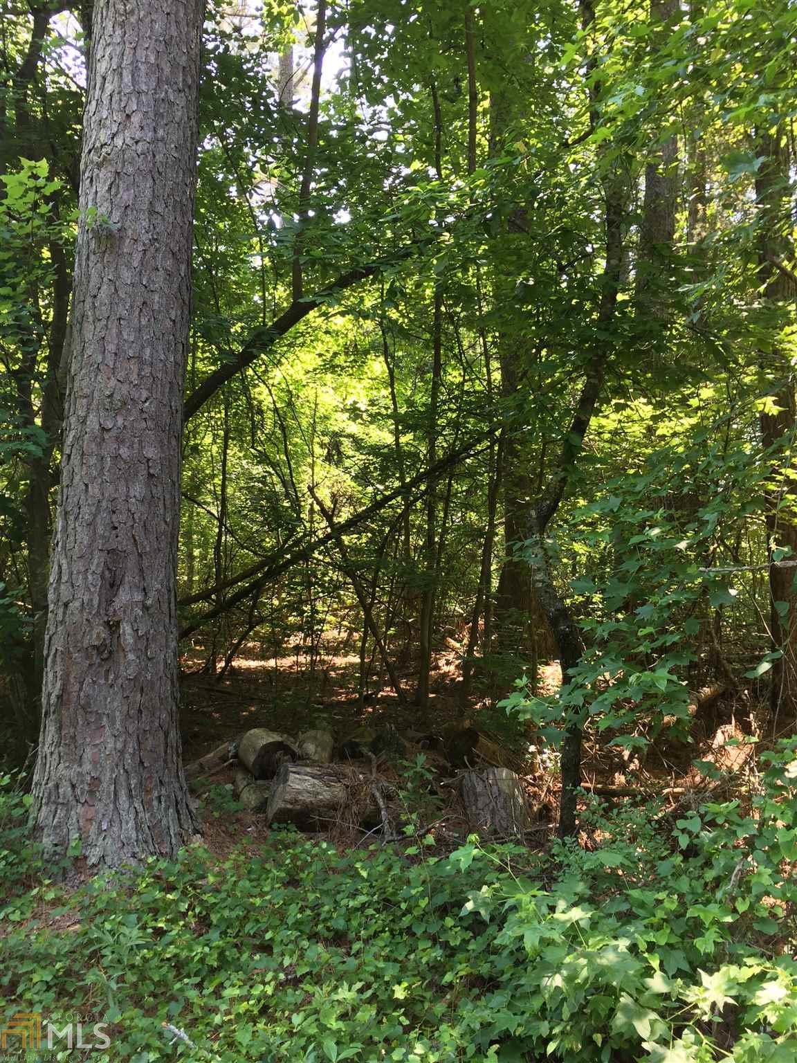 0 Waterworks Rd - Photo 1