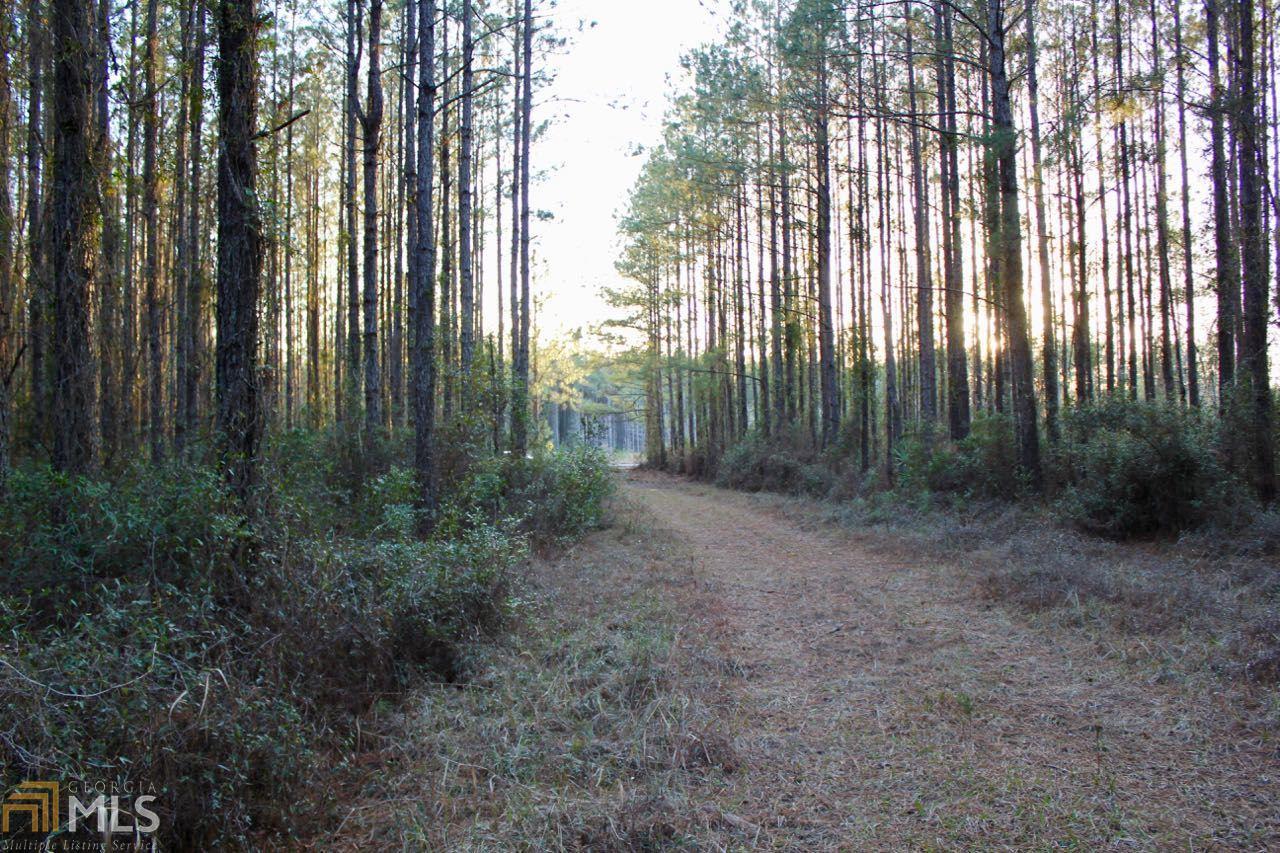 0 Ashleys Rd - Photo 1