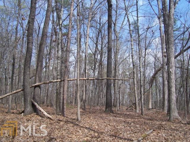 0 Stonepile Rd - Photo 1