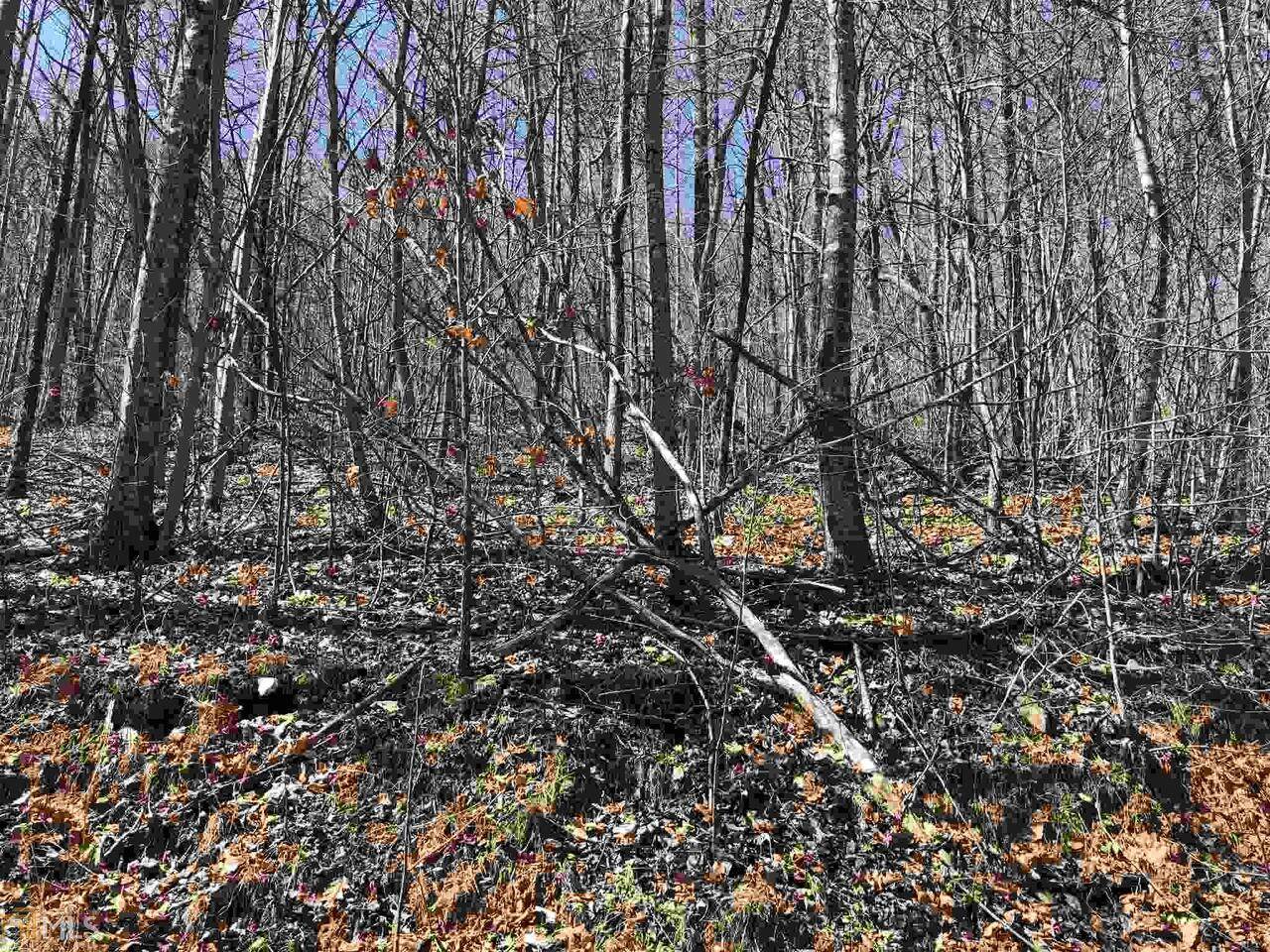 0 Overlook At Young Harris - Photo 1