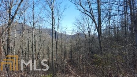 LOT 24 Cabin Cove - Photo 1
