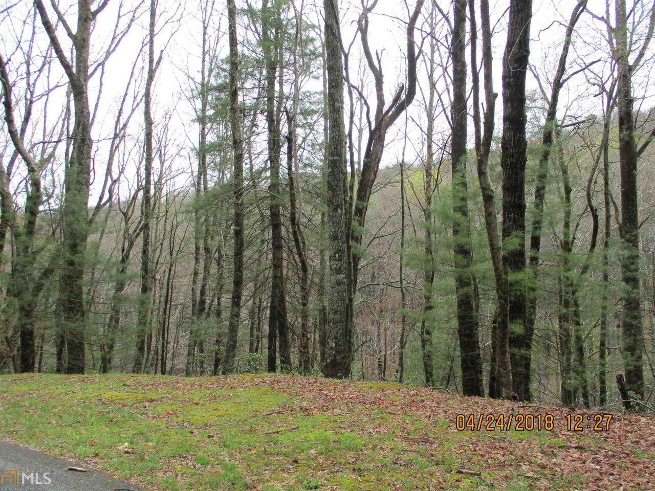 0 Rebel Circle (Midwoods 4 Pt 1) - Photo 1