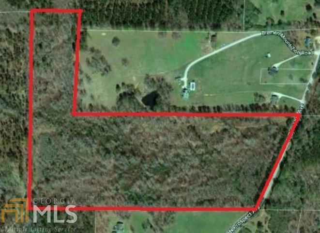 0 Bremen Mount Zion Rd - Photo 1