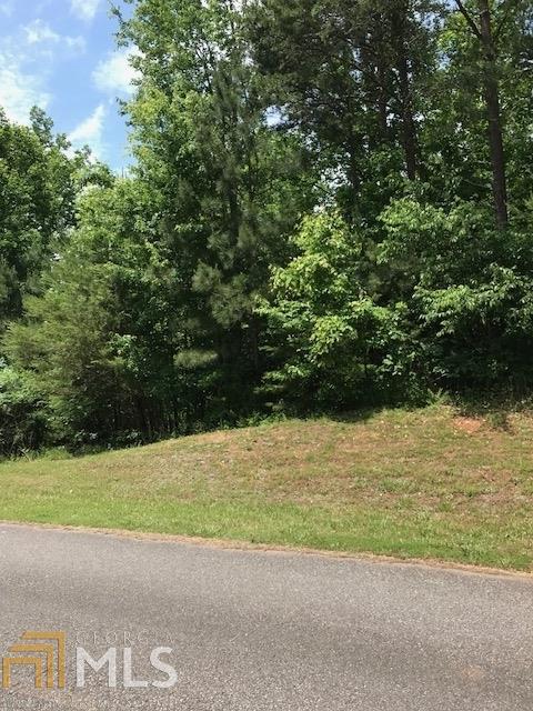 1075 Cowart Mountain Trl - Photo 1