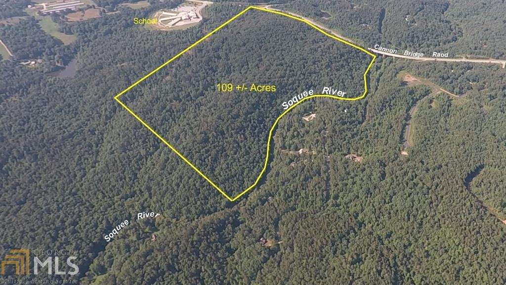 0 Cannon Bridge Rd - Photo 1