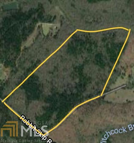 196 Battle Smith Rd - Photo 1