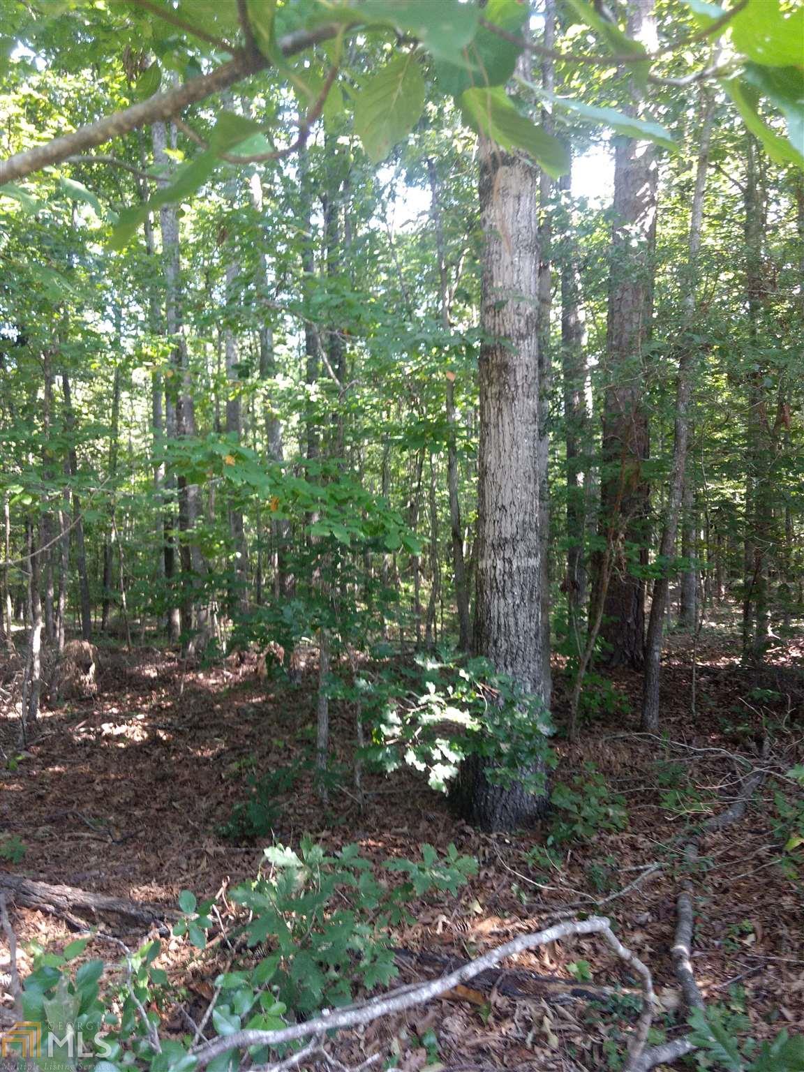0 Holiday Rd - Photo 1