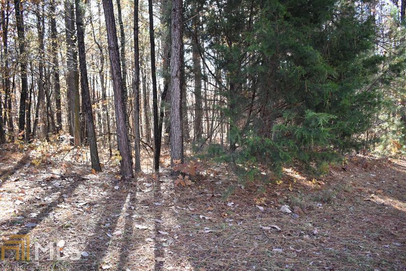 768 Cider Ridge - Photo 1
