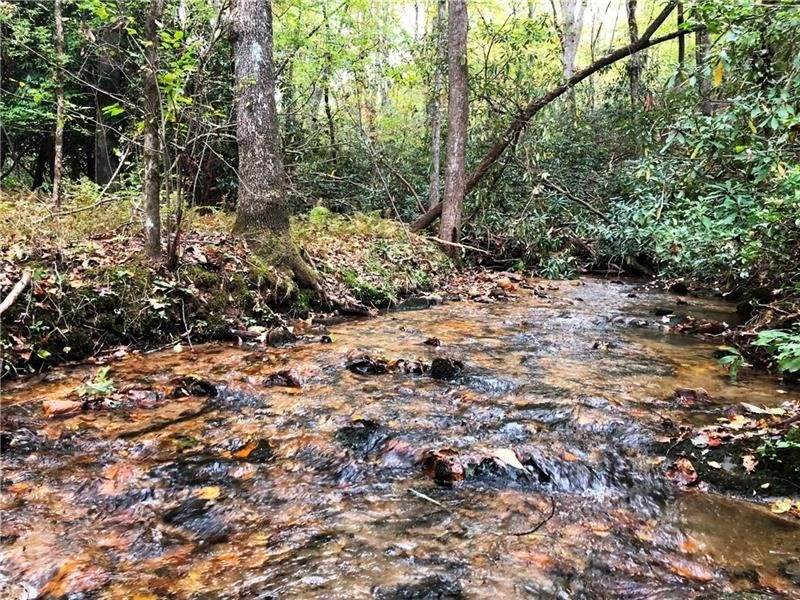 0 High Shoals - Photo 1
