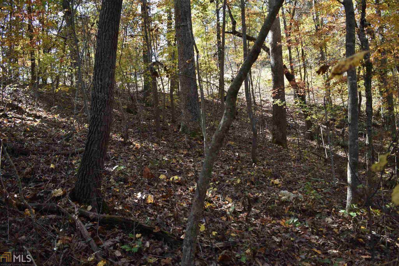 0 Habersham Lndg - Photo 1