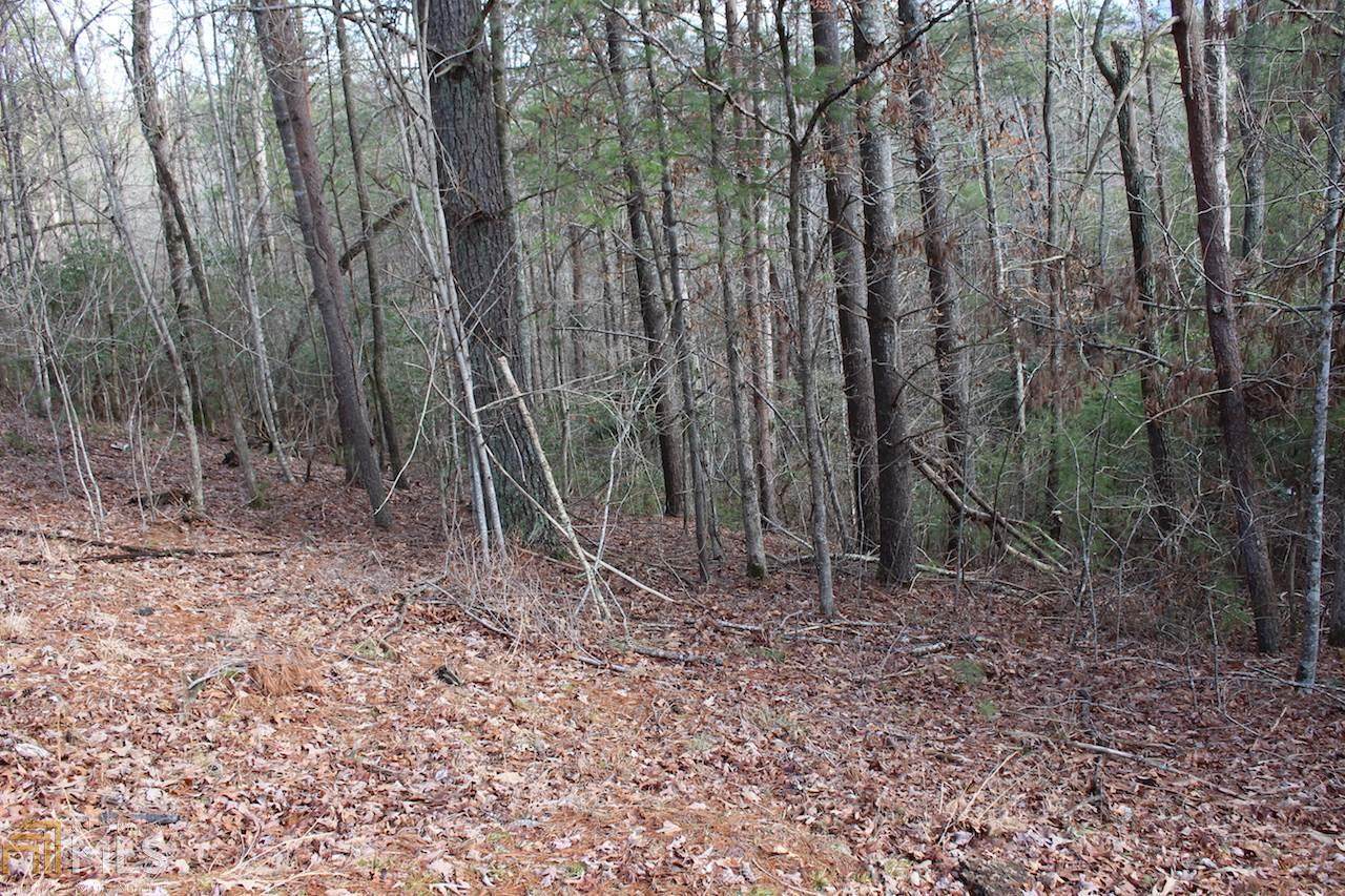 0 Tonto Drive - Photo 1