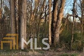 0 Mitchell Rd - Photo 1